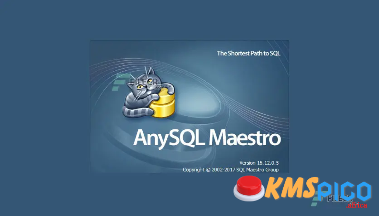 AnySQL Maestro Professional 16.12.0.10 Free Download