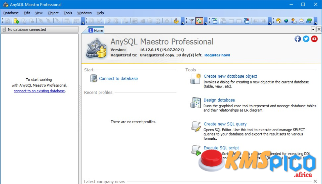 AnySQL Maestro Professional